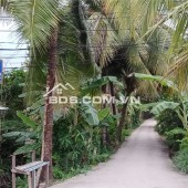 Bán Lô Đất Đẹp Mặt Tiền Đường An Sơn 32 – Gần Quanh Đai 3 – Chỉ 9,2 Triệu/M²